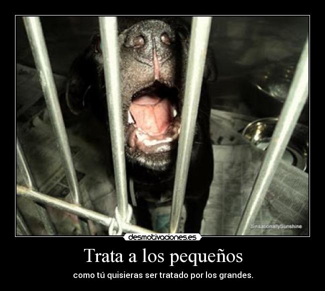 carteles elalienveloz desmotivaciones