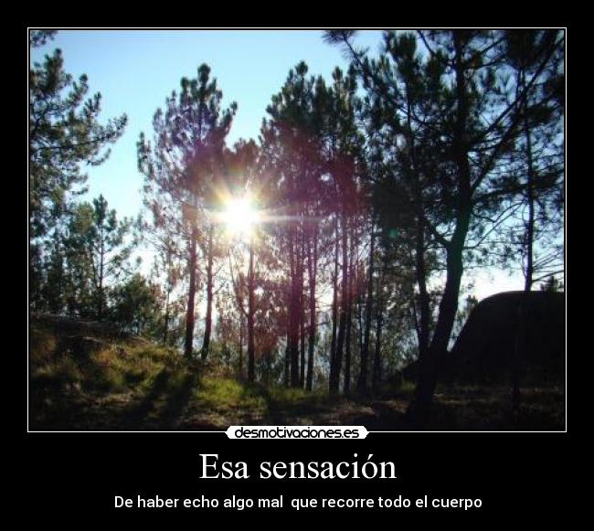 Esa sensación - De haber echo algo mal  que recorre todo el cuerpo