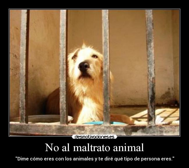 No al maltrato animal - Dime cómo eres con los animales y te diré qué tipo de persona eres.