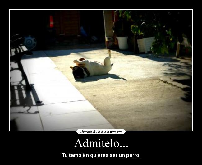 Admitelo... - Tu tambièn quieres ser un perro.