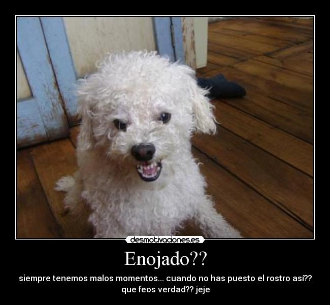 Enojado?? - 