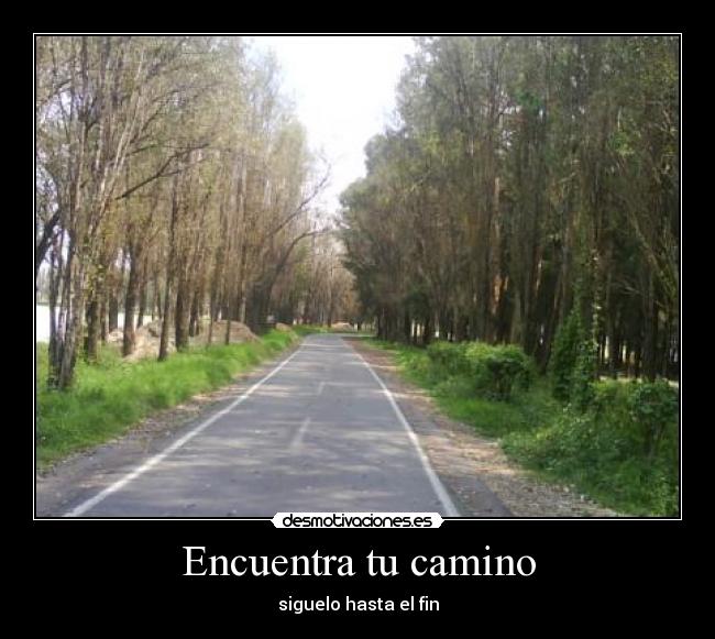 Encuentra tu camino - 