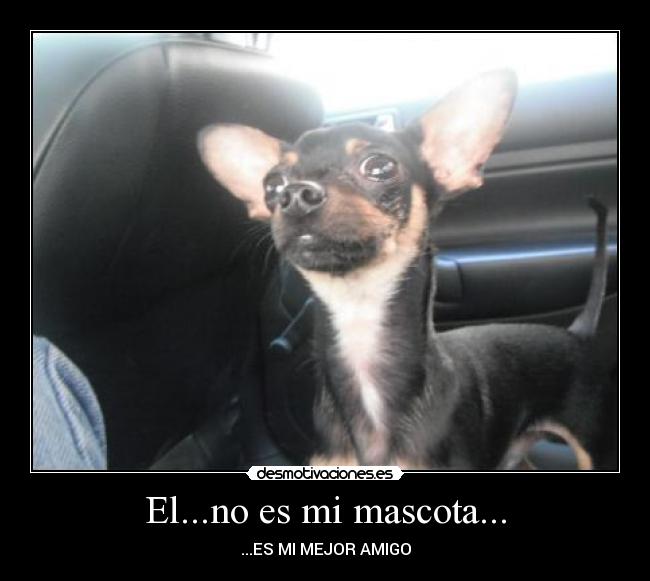 El...no es mi mascota... - ...ES MI MEJOR AMIGO
