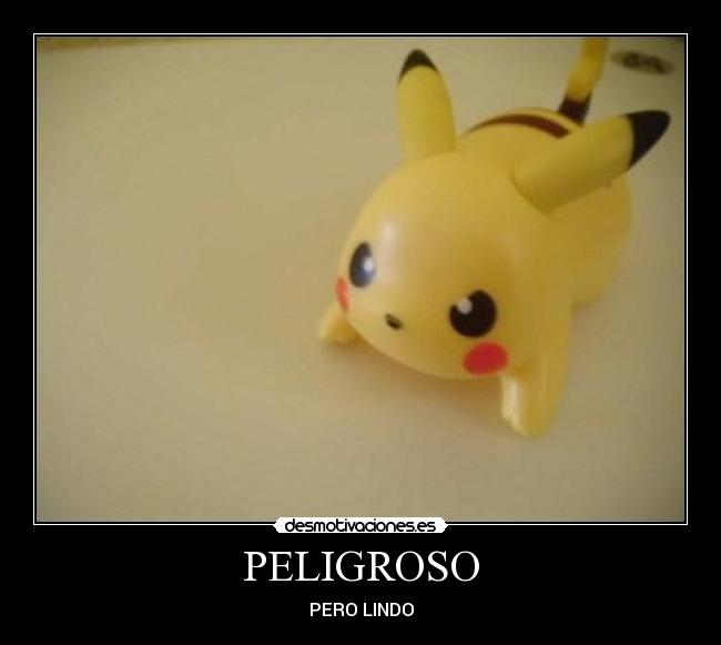 PELIGROSO - PERO LINDO