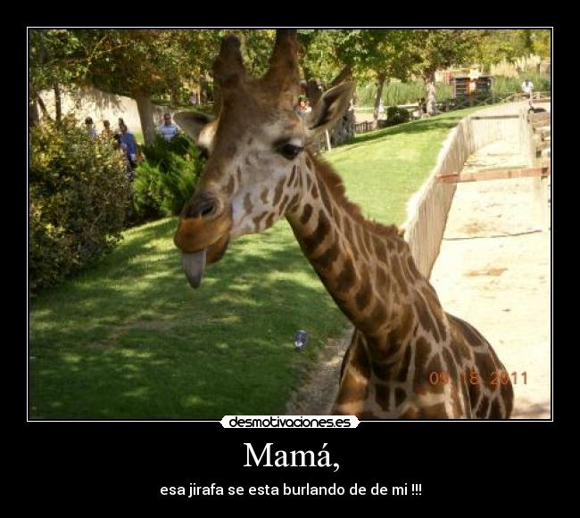 Mamá, -