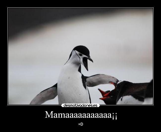 Mamaaaaaaaaaaa¡¡ - =D