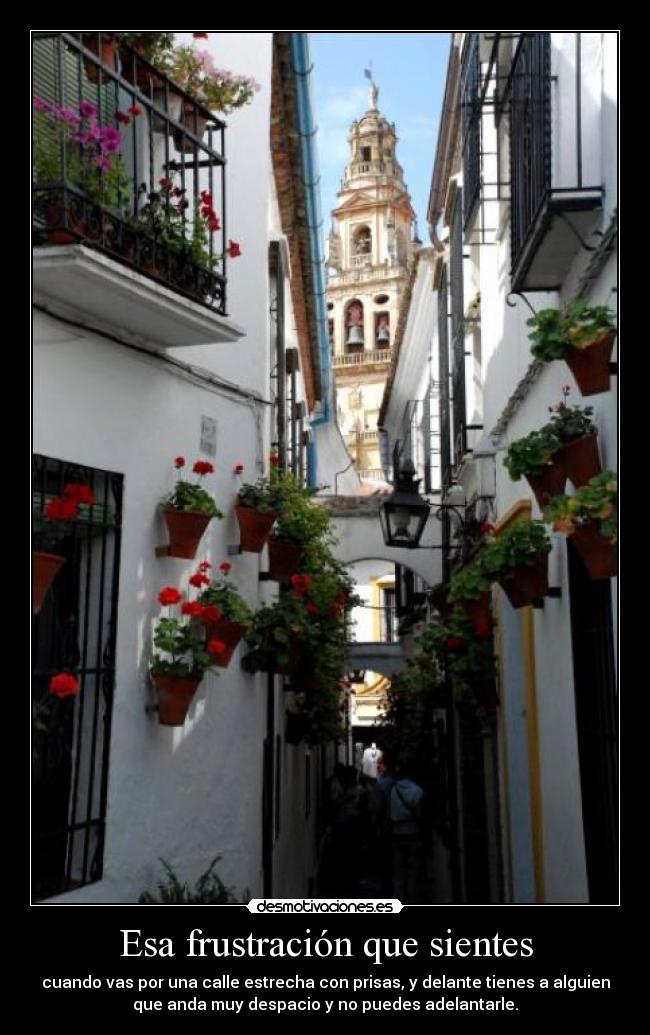 Esa frustración que sientes - cuando vas por una calle estrecha con prisas, y delante tienes a alguien
que anda muy despacio y no puedes adelantarle.