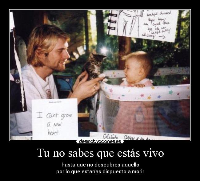 Tu no sabes que estás vivo - hasta que no descubres aquello
por lo que estarías dispuesto a morir