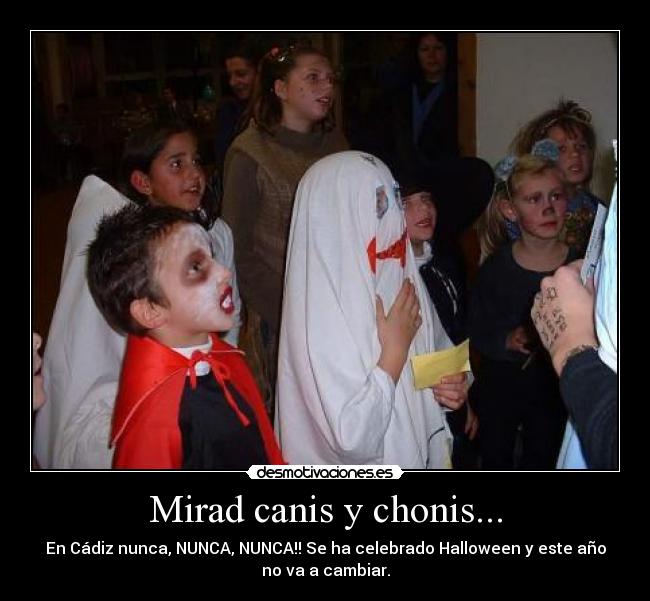 Mirad canis y chonis... - En Cádiz nunca, NUNCA, NUNCA!! Se ha celebrado Halloween y este año
no va a cambiar.