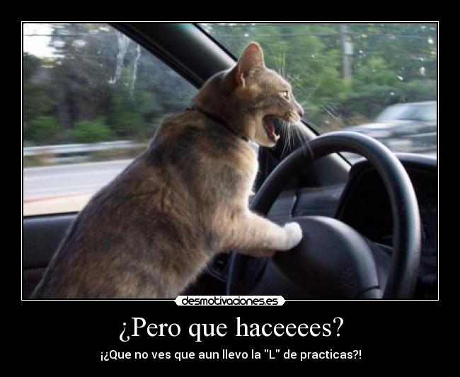 ¿Pero que haceeees? -