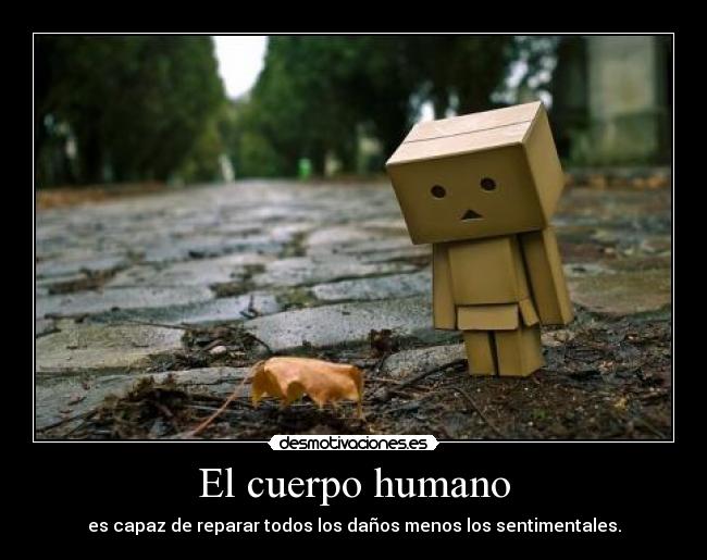 El cuerpo humano - es capaz de reparar todos los daños menos los sentimentales.