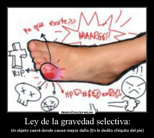 Ley de la gravedad selectiva: - 