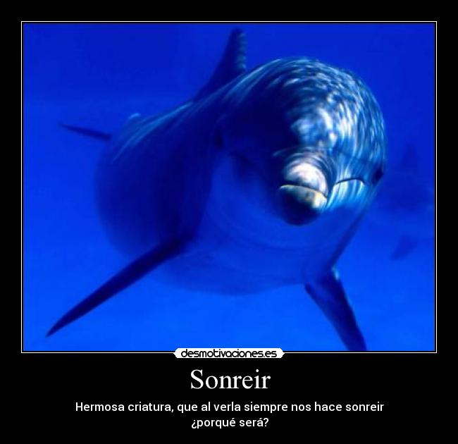 Sonreir - 