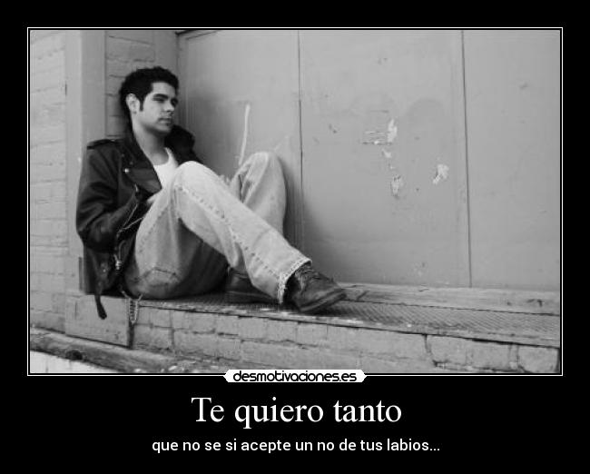Te quiero tanto - que no se si acepte un no de tus labios...