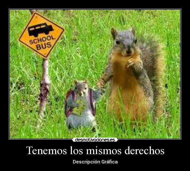 Tenemos los mismos derechos - Descripción Gráfica