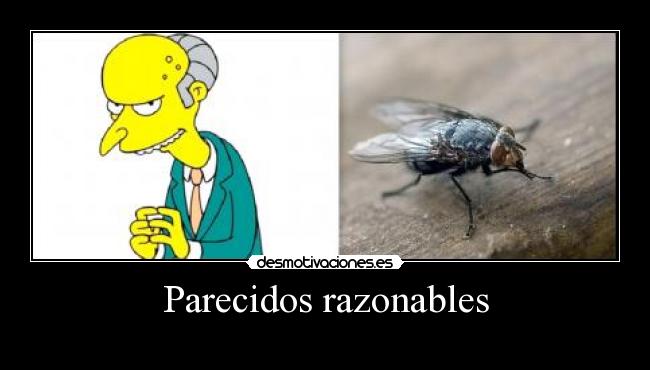 Parecidos razonables - 