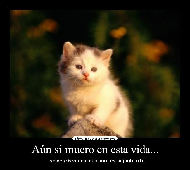 Aún si muero en esta vida... -