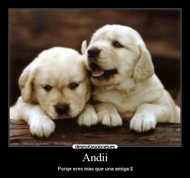 Andii -