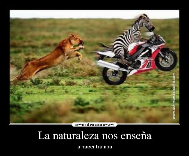 La naturaleza nos enseña -