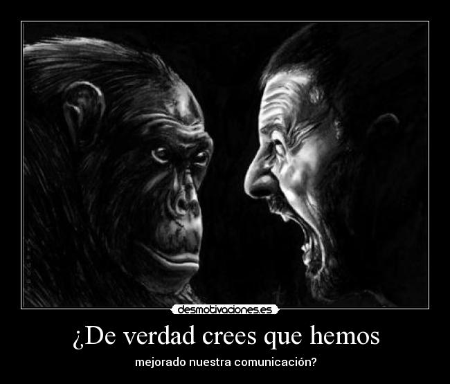 ¿De verdad crees que hemos -
