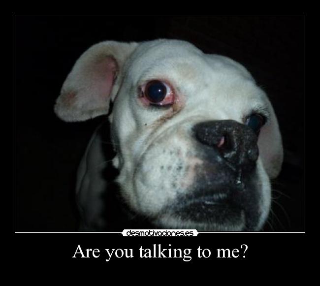 Are you talking to me? - 