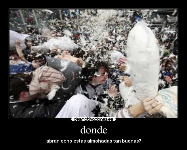 donde - abran echo estas almohadas tan buenas?