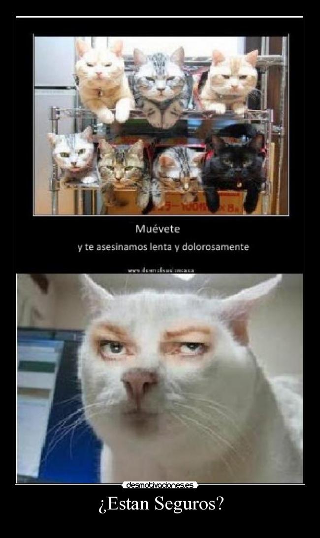 carteles leniiz imagen waltk autenticamente mia desmotivaciones