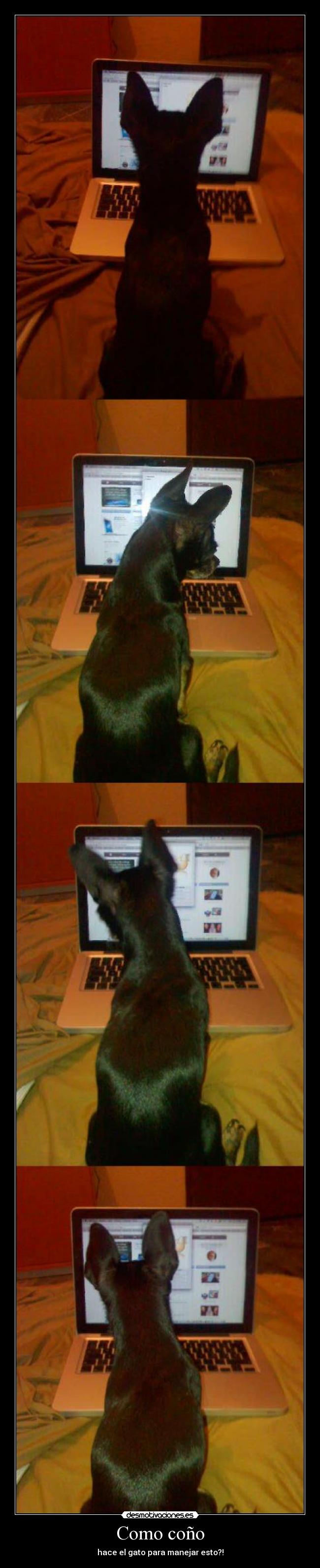 Como coño - hace el gato para manejar esto?!