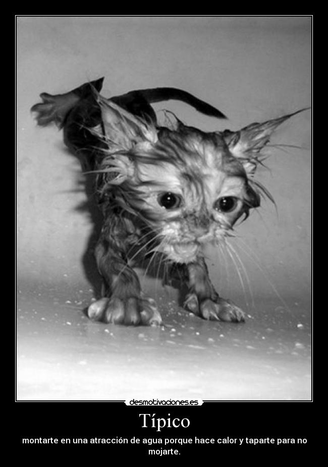 Típico - montarte en una atracción de agua porque hace calor y taparte para no mojarte.