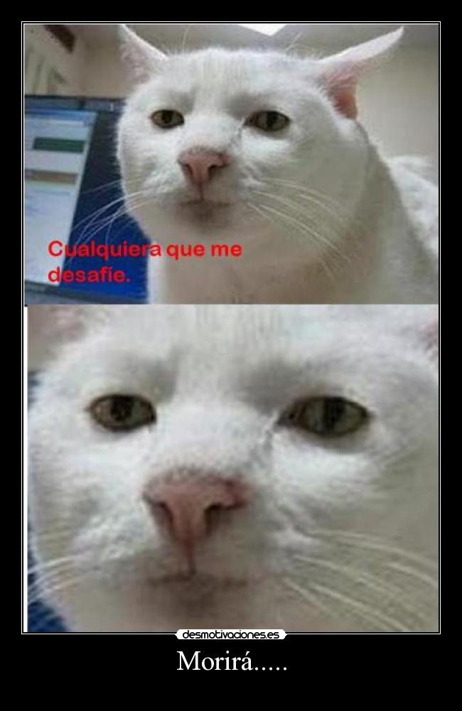 Morirá..... -