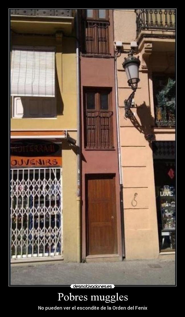 Pobres muggles - 