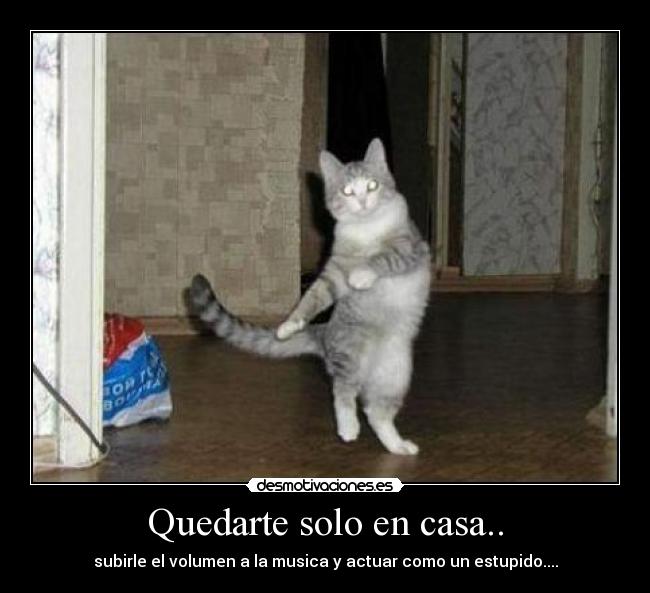 Quedarte solo en casa.. - subirle el volumen a la musica y actuar como un estupido....