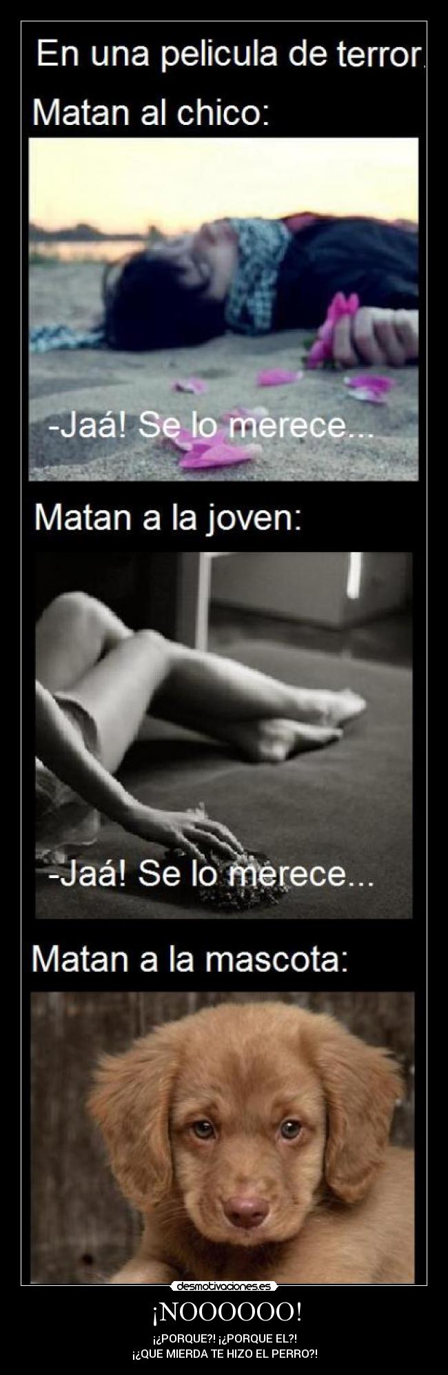 ¡NOOOOOO! - ¡¿PORQUE?! ¡¿PORQUE EL?!
¡¿QUE MIERDA TE HIZO EL PERRO?!