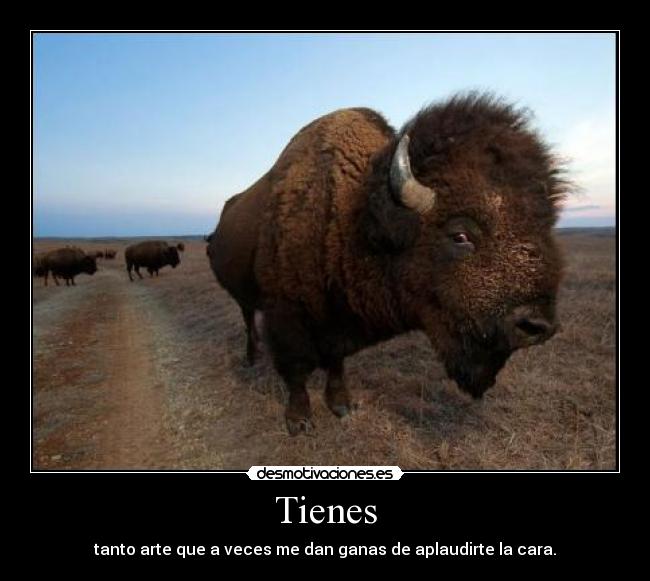 Tienes -