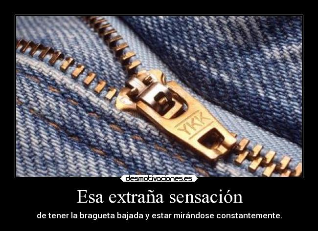 carteles bragueta desmotivaciones