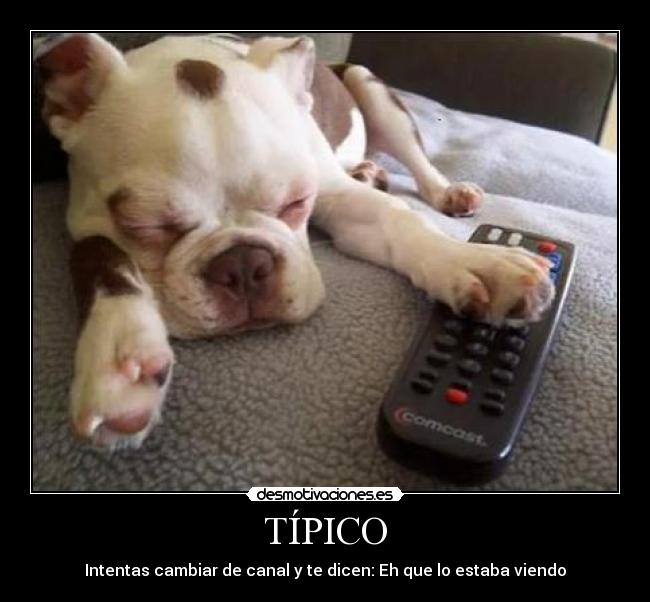 TÍPICO - Intentas cambiar de canal y te dicen: Eh que lo estaba viendo