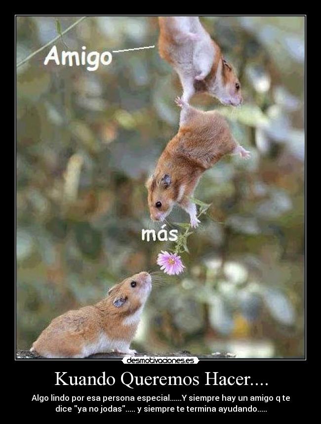 Kuando Queremos Hacer.... -