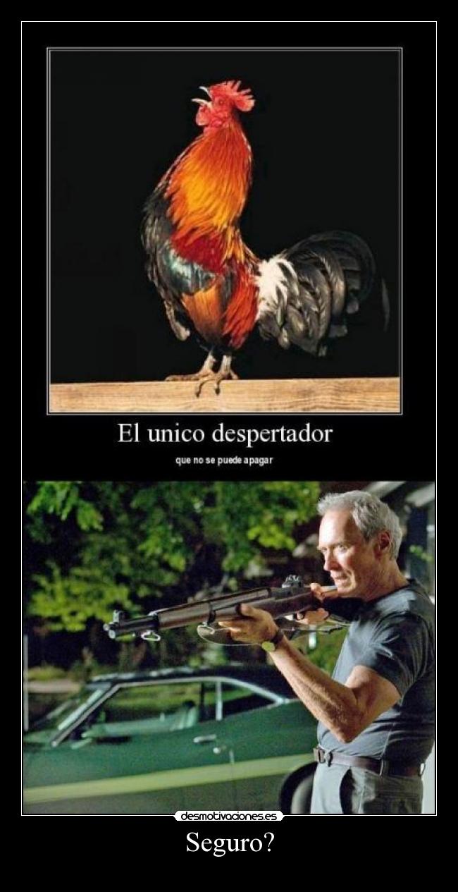 carteles darky10 vota positivo comentes desmotivaciones