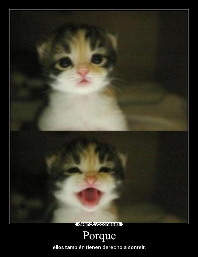 Porque - 