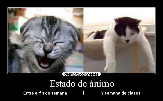 Estado de ánimo - Entre el fin de semana                l                 Y semana de clases