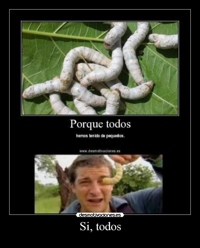 Si, todos -