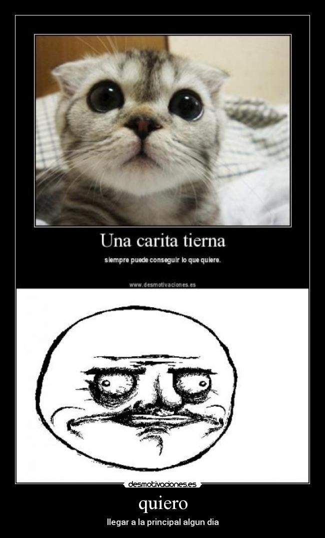 quiero - 