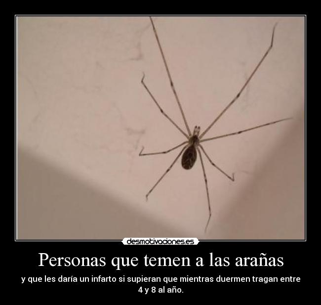Personas que temen a las arañas - y que les daría un infarto si supieran que mientras duermen tragan entre
4 y 8 al año.
