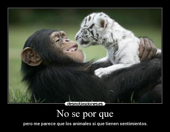 carteles  desmotivaciones