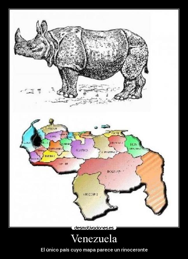 carteles venezuela pais mapa rinoceronte unico desmotivaciones