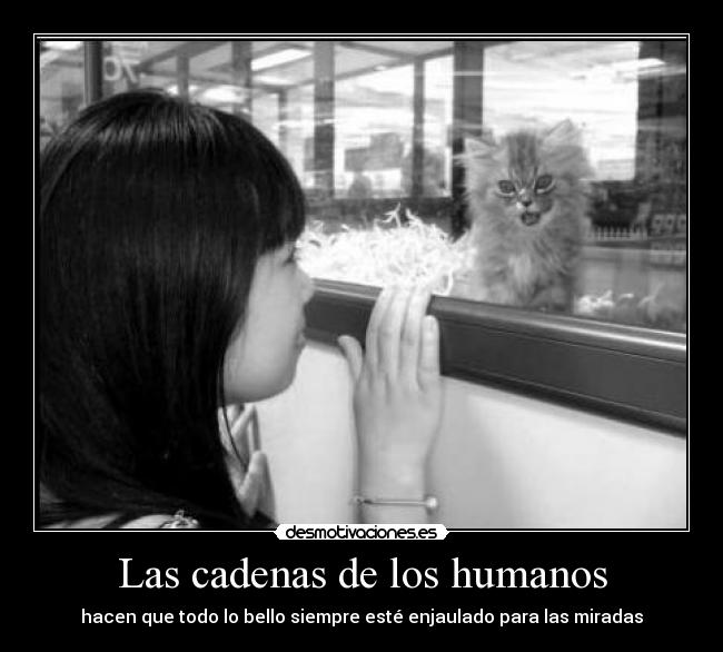 Las cadenas de los humanos - 