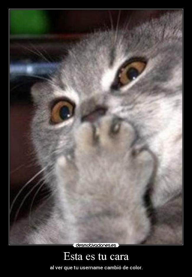 Esta es tu cara - al ver que tu username cambió de color.