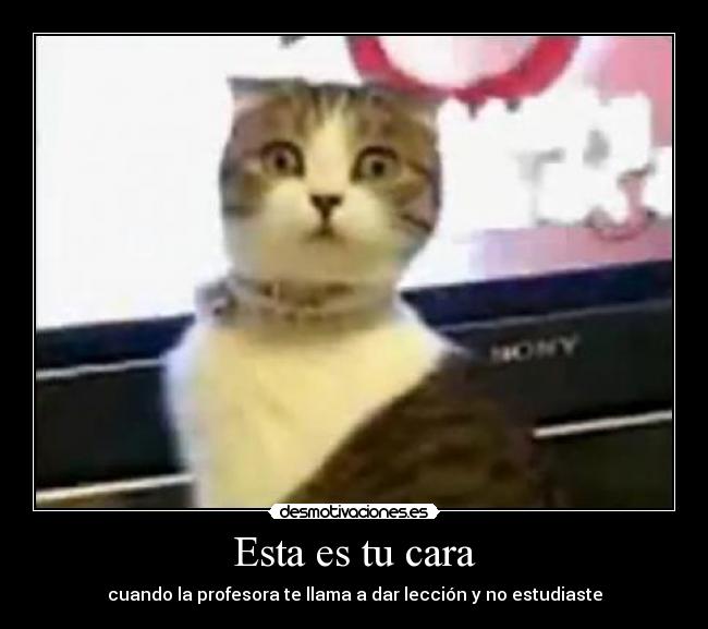 Esta es tu cara - 