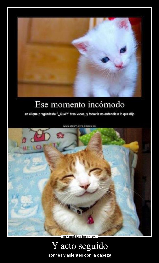 Y acto seguido -