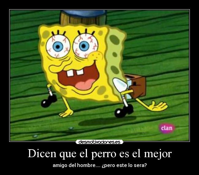 carteles perro desmotivaciones